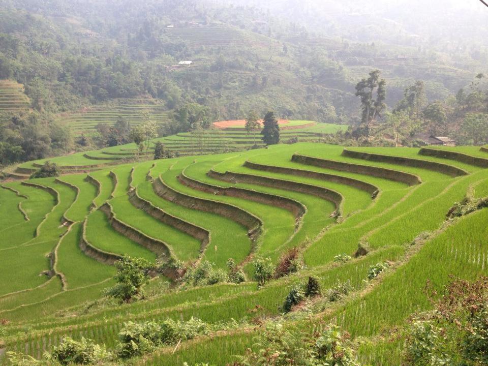 Ngan Nga Bac Ha Hotel Bac Hà Exterior foto
